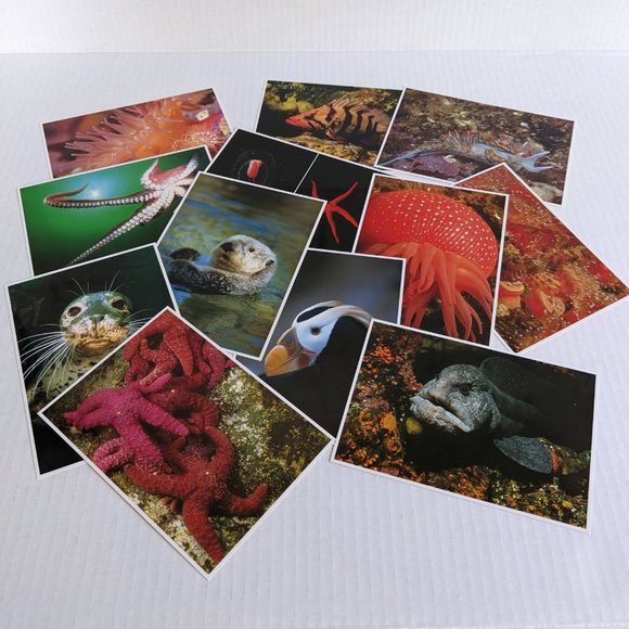 Oregon Coast Aquarium Sea Creature Postcard Bundle - Picture 7 of 7